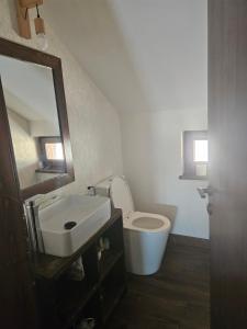 a bathroom with a toilet and a sink and a mirror at Cabana Stil in Mărişel