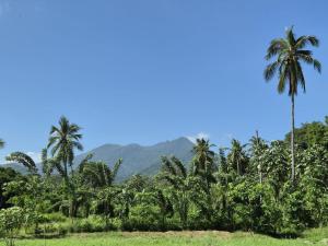 Un paisaje natural cerca of the bed and breakfast 11 fotos más