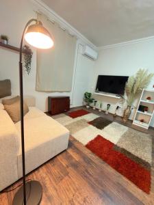 TV a/nebo společenská místnost v ubytování Boldog Deluxe apartman