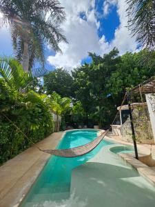 a hammock in a swimming pool with trees at Casona Origen Merida in Mérida