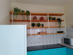 a kitchen with shelves with potted plants on them at Essencia Sterra in Praia