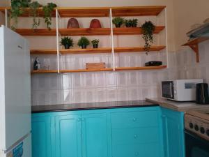 a kitchen with blue cabinets and shelves with potted plants at Essencia Sterra in Praia