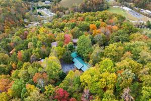 an aerial view of a park in the middle of a forest at Cozy Cabin Sleeps 10 Hot Tub Pool Table Arcade in Shady Grove