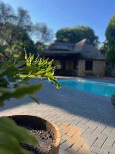 Bazén v ubytování Compass Overnight Langenhovenpark nebo v jeho okolí