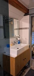 a bathroom with a sink and a mirror at Schneeglöckchen in Marl