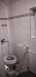 a bathroom with a toilet with a cat on the seat at Schneeglöckchen in Marl