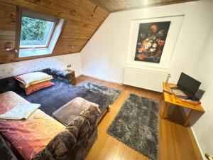 a living room with a couch and a laptop on a desk at Casa Florina in Predeluţ