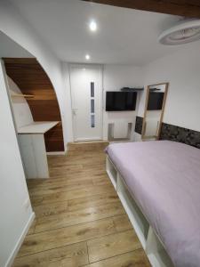 a bedroom with a bed and a television in it at Chambre avec salle d'eau privée in Les Arcs sur Argens