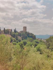 Příroda nedaleko ubytování v soukromí