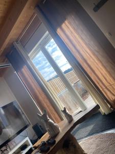 ein großes Fenster in einem Zimmer mit einer Holzwand in der Unterkunft Gîtes Vosges, Spa, Sauna & Piscine in Moyenmoutier