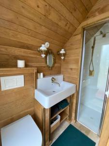a bathroom with a sink and a shower at Cabane atypique sur une Île in Sury-aux-Bois