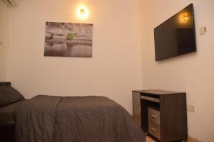 イケジャにあるAgathos Apartmentのベッドルーム1室(ベッド1台、壁掛けテレビ付)