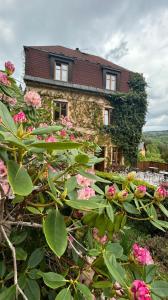 ヤノフ・ナト・ニソウにあるVila Hraničnáのピンクの花の家