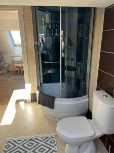 a bathroom with a shower with a toilet and a sink at Green House in Stara Sušica +46 photos