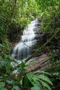 Billede fra billedgalleriet på Guayacanes Ecolodge i Santiago