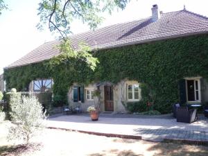 a house covered in ivy with a patio at Les Belins in Bourg-le-Comte