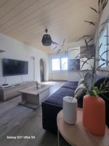 een woonkamer met een bank en een tv bij MAISON COSY 7 minutes des frontières in Rosenau