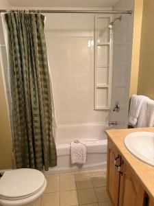 a bathroom with a shower and a toilet and a sink at Midstream Manor Unit 1 - Studio in St. John's