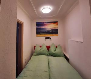 巴德加斯坦Susis Alpen Apartment的小卧室配有带绿色枕头的床