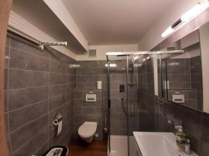 巴德加斯坦Susis Alpen Apartment的带淋浴、马桶和水槽的浴室
