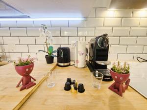 Η κουζίνα ή μικρή κουζίνα στο Sunny garden 1BR Flat with terrace