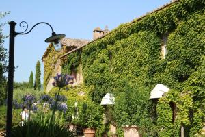Vonkajšia záhrada v ubytovaní Agriturismo La Sovana