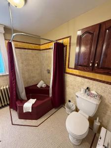 een badkamer met een douche, toilet en wastafel bij Midstream Manor 1BR Parking WiFi in St. John's
