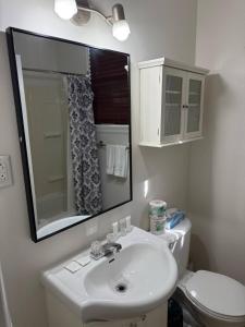 een badkamer met een wastafel en een spiegel en een toilet bij Charming 2BR Wi-Fi Off-Street Parking in St. John's
