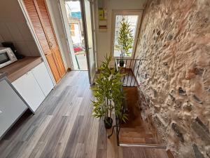 Un pasillo con plantas y una pared de piedra. en La Grotte Provençale à Sisteron, en Sisteron