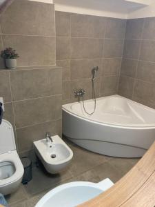 a bathroom with a tub and a toilet and a sink at Apartments Panorama Donovaly in Donovaly