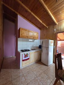 Kuchyň nebo kuchyňský kout v ubytování Los Pioneros