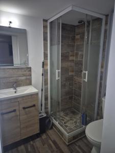 une salle de bain avec une douche avec un lavabo et des toilettes dans l'établissement Very nice apartment, à Saint-Paul-lès-Dax