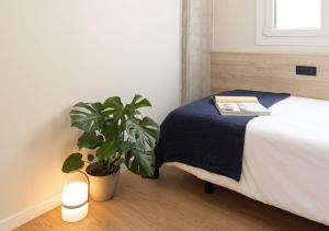 a bedroom with a bed and a potted plant at Yugo Terrassa Can Telar in Terrassa +18 photos