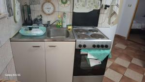 a small kitchen with a sink and a stove at Apartmani Kunjasic in Trstenik