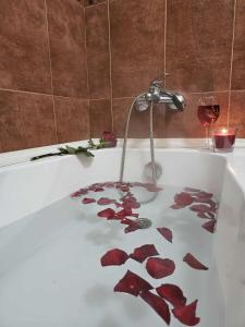 eine Badewanne mit roten Rosenblättern in der Unterkunft Apartment Bee Happy, Pchelinski Bani in Pchelin