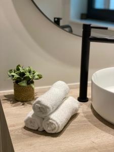 シント・トロイデンにあるVerliefd in Brustemの洗面台の横にあるバスルームのカウンターにタオルが2枚置かれている