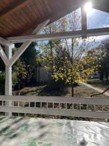 Κήπος έξω από το Kuća za odmor Sremac