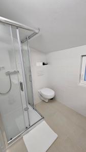 a bathroom with a shower and a toilet at Apartments Kompara in Ajdovščina +7 photos