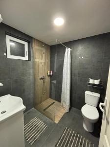 Koupelna v ubytování Planinska vila KTM Lisine + 37 fotografií