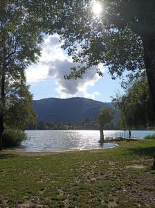 La Casa di Erika في Monasterolo del Castello: اطلاله على تجمع مياه بالشجر