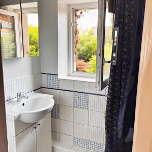 Un baño con lavabo y ventana. en L'Ancien Moulin du Grand Annecy, en Annecy