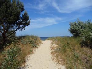 a dirt road with trees on the side of a field at Ferienwohnung Julia in Zinnowitz