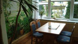 a table and chairs in front of a window with a plant at Ferienwohnung Regina in Zinnowitz