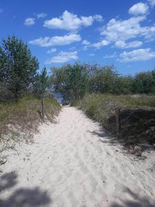 a dirt road leading to a beach with trees at Ferienwohnung Bernhard in Zinnowitz