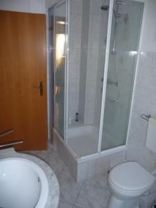 a bathroom with a shower and a toilet and a sink at Ferienhaus Emma in Zinnowitz