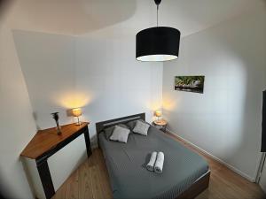 Un dormitorio con una cama con dos almohadas y una lámpara. en Charme Médiéval à Provins, en Provins