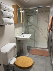un bagno con wc, lavandino e doccia di Hanger Farmhouse Hideaway a Totton and Eling
