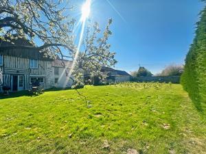 Zahrada ubytování Chez Gheorghe