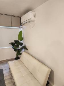 Fotografie z fotogalerie ubytování Mono restaurado v destinaci San Miguel de Tucumán + 1 fotografie