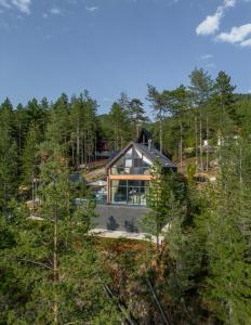 an aerial view of a house in the woods at 3 Tačke Tara in Zaovine